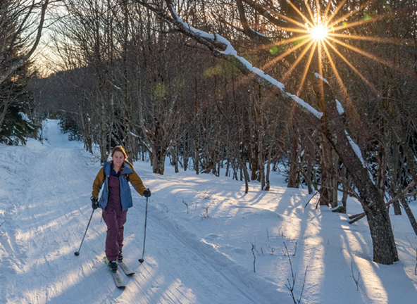 image two columns media