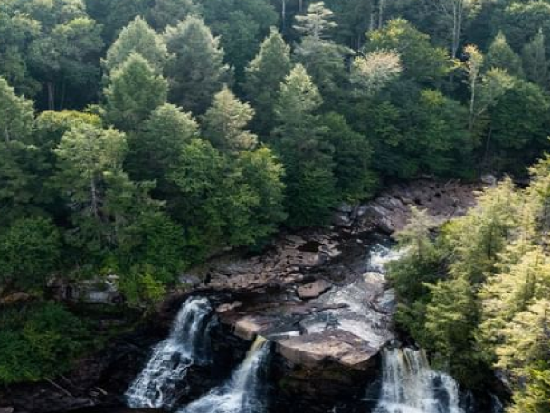 image two columns media