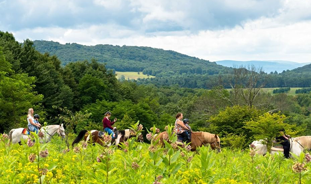 image two columns media