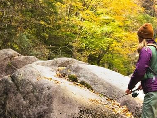 image two columns media