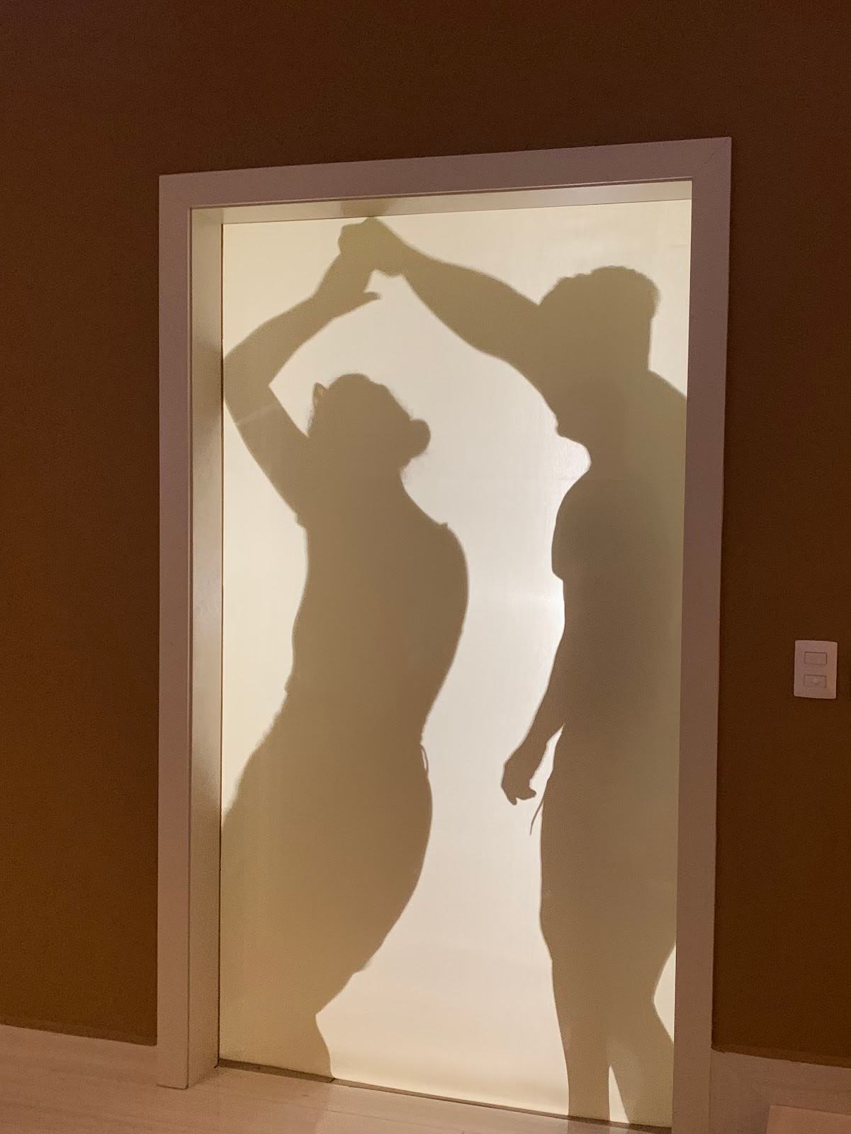 Hilarious Shadow Theater